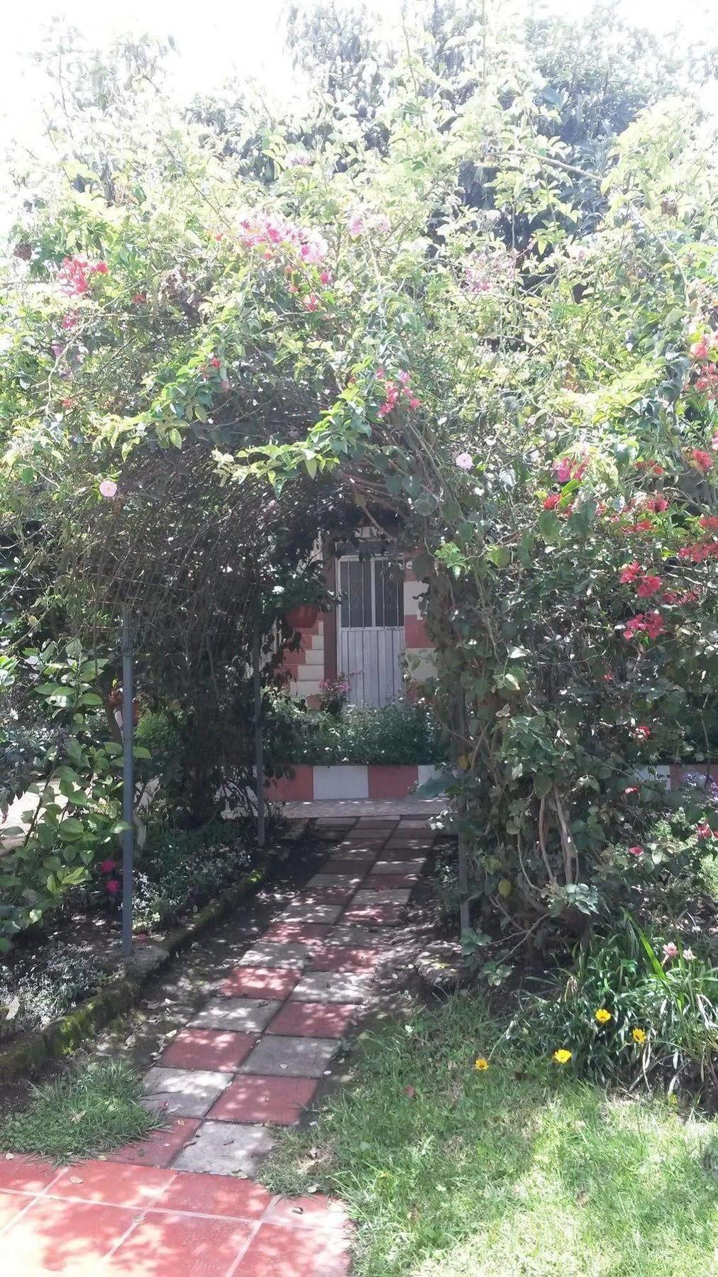 Hostal el Parque Tababela Exterior foto